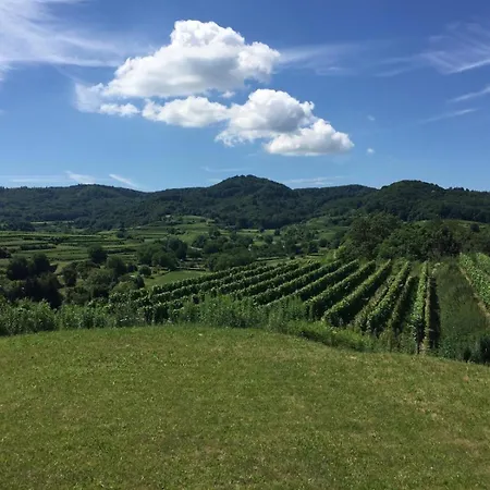 Linde Endingen am Kaiserstuhl