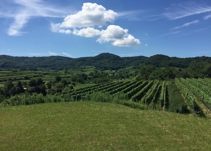 Linde Endingen am Kaiserstuhl